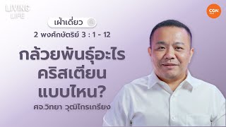 23/06/2024 เฝ้าเดี่ยว | 2 พกษ. 3:1-12 “กล้วยพันธุ์อะไร? คริสเตียนแบบไหน” | ศจ.วิทยา วุฒิไกรเกรียง