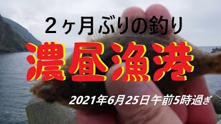 【海釣り】濃昼漁港（石狩・厚田漁港近く）でちびっ子カレイ20210626