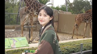 美国留学vlog｜和小动物们开心的一天🦁️🐒 🦒