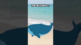 海辺で死んだクジラを見たら、絶対に近づいてはいけません...#Shorts