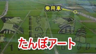 田んぼアート日本一　ギネス世界記録 　古代蓮の里　Rice Paddy Art 　埼玉県行田市