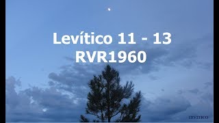 La Biblia hablada/Levítico 11 - 13