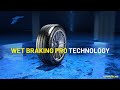 Goodyear Eagle F1 Asymmetric 6 with Excellent Wet Braking Technology