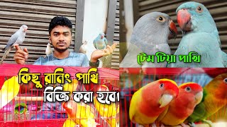 টিয়া পাখি | বিক্রি হবে: টেম টিয়া পাখি,  লাভবার্ড পাখি, ইংলিশ বাজরিগার পাখি ও নরমাল বাজরিগার পাখি।