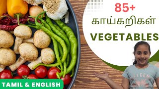 85+ காய்கறிகள்/ மரக்கறிகள்- Learn Vegetables Names in Tamil and English for Kids and Children