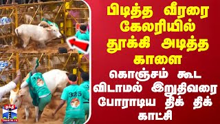 பிடித்த வீரரை கேலரியில் தூக்கி அடித்த காளை - கொஞ்சம் கூட விடாமல் இறுதிவரை போராடிய திக் திக் காட்சி