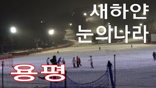 흰 눈 내리는 용평리조트 ☃️ 스키장은 새하얀 눈의 나라, 용평은 하얀 설국인데, 엘사는 어디 갔나요?