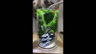 Mini garden in glass #diy  #shorts #short #shortvideo #shortsvideo #shortsfeed #viral