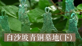 古墓发掘出的铜饰还原一个消失的部落 《白沙坡青铜墓地》（下）| 中华国宝