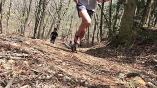 峰山高原-砥峰高原 ヤルヤルファミリー