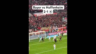 Bayer Leverkusen vs. TSG Hoffenheim 2-1 & 30/3/2024 & Bundesliga