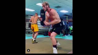 Logan Paul Shows Amazing Punching Speed After Floyd Mayweather Fight
