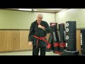 beginner sparring combo mr. stapleton