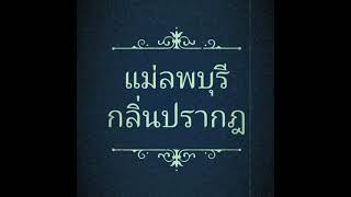 บันทึกการติดป้ายข้างกำแพงโบสถ์วัดโคกสลุด ขอ