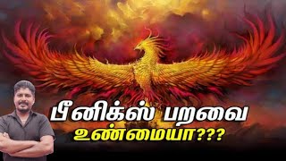 exclusive  Information Phoenix bird பீனிக்ஸ் பறவை பற்றி அறியாத உண்மைகள்