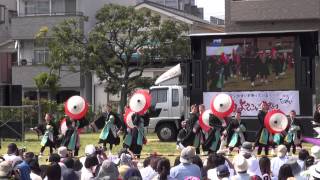 Funny＠2015　湘南よさこい