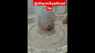 महाकाल मंदिर रुद्राभिषेक विशेष दर्शन। Mahakal Ujjain darshan! #bhakti #shortfeed #mahakal