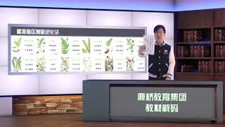 30.植物百科