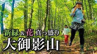 【日帰り登山】キラッキラの新緑とお花真っ盛りの大御影山