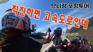 [모모TV] 으니랑 포항투어 / 고속도로는 우리 아니되요 그쵸?