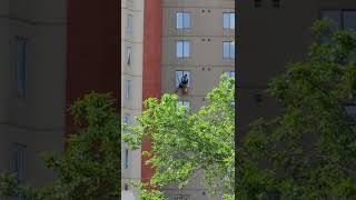 Window Cleaning | High-Rise Condo Building #shorts