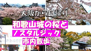 【和歌山城で楽しむ満開の桜】大阪から日帰りで和歌山城の桜を見に行って、ぶらくり丁などノスタルジックな和歌山市内を散策しました。和歌山市博物館にも行きました。