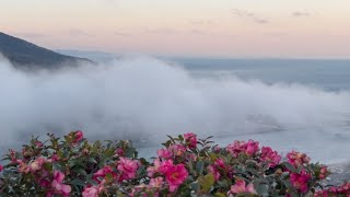 2025/02/25　雨水霞始靆　肱川あらしの発生（ダイジェスト版）　〜愛媛県大洲市〜