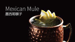 【一分鐘調酒】薑味龍舌蘭 - 墨西哥騾子．How to make a Mexican Mule !