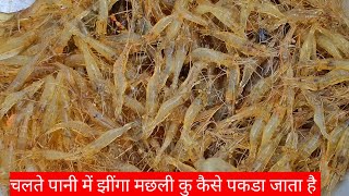 How To Catch Prawn | Machli Kaise Pakadte Hain | Machli Pakadne Ka Tarika | Fish Kaise Pakadte Hain|