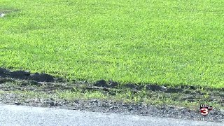 Homeowner says sugar cane tractors are ruining his yard