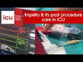 What is Impella and its post procedure care in ICU;  How it is different from IABP