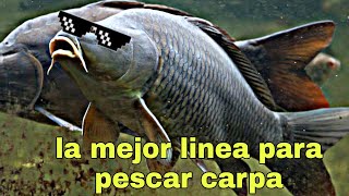 la mejor linea coreana y feeder para carpa ,boga,sabalo, 2*1