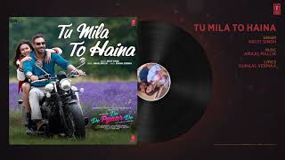 Tu Mila To Haina - De De Pyaar De - Ajay Devgn & Rahul