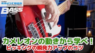 【第114回】カメレオンのイメージでピッキングの瞬発力アップ　石村順の低音よろず相談所 〜Jun's Bass Clinic〜