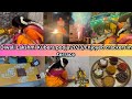 Diwali Lakshmi Kubera poojai 2023/ How I celebrated diwali 🪔 with my family 🩷