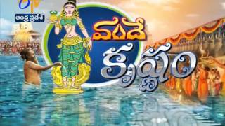 Krishna Pushkar: పుష్కర యాత్రికులతో 'వనం మనం' ప్రతిజ్ఞ చేయించిన CM చంద్రబాబు