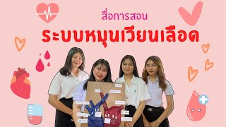 สื่อการสอนชีววิทยา ระบบหมุนเวียนเลือด