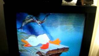 Ugly Duckling Is Crying