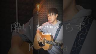 『酔いどれ知らず/Kanaria』 #弾き語り