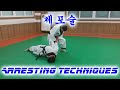 10 Real Arresting Techniques - Eul Ji Kwan - Hapkido/Self Defense/Security/Police/Army