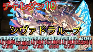 【パズドラ】チャレダン10 シヴァドラループで楽々クリア！！