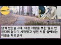 사이다 사연 조문 화환 배달차 간 장례식에 우연히 본 장례행렬에 영정사진 운구차 막고 관을 들춰본 순간 제 인생이 180도 뒤집혔습니다 신청사연 사연낭독 라디오드라마 실제사연