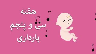 بارداری هفته به هفته / هفته سی و پنجم