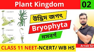 Plant Kingdom 02 in Bengali | Bryophyta | Class 11 NEET Biology | NCERT/CBSC/WBCHSE