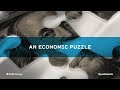 Economist Perspective: An Economic Puzzle