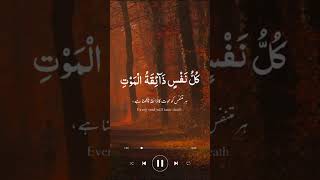 Tilawat Quran| Best tilawat with beautiful voice