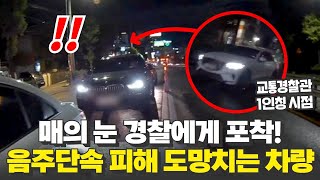 '🦅매의 눈' 경찰에게 포착! #음주단속 피해 도망치는 차량?!🚗