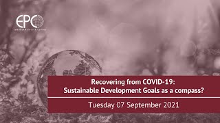 Recovering from COVID-19: Sustainable Development Goals as a compass?