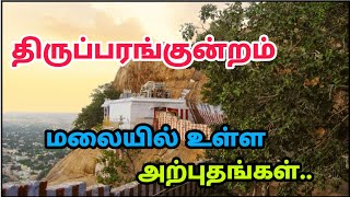 திருப்பரங்குன்றம் மலையில் இவ்வளவு இடங்கள் இருக்க..!! - Thiruparankundram Temple