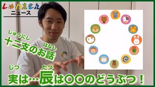 [しゅわえもんニュース]十二支(じゅうにし)のお話！